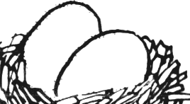 ovoj